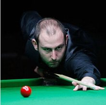 晶宫的组织 晶宫的组织