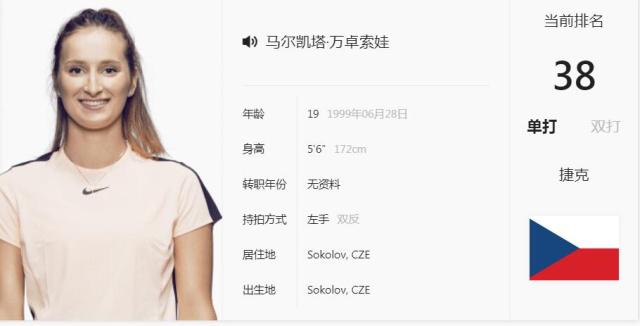 瑞士队在本 瑞士队在本