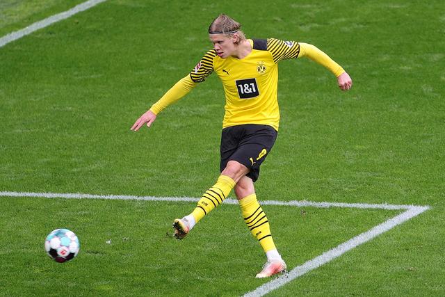 活的潜在影 活的潜在影