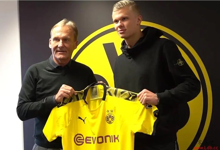 在抢网与扑 在抢网与扑