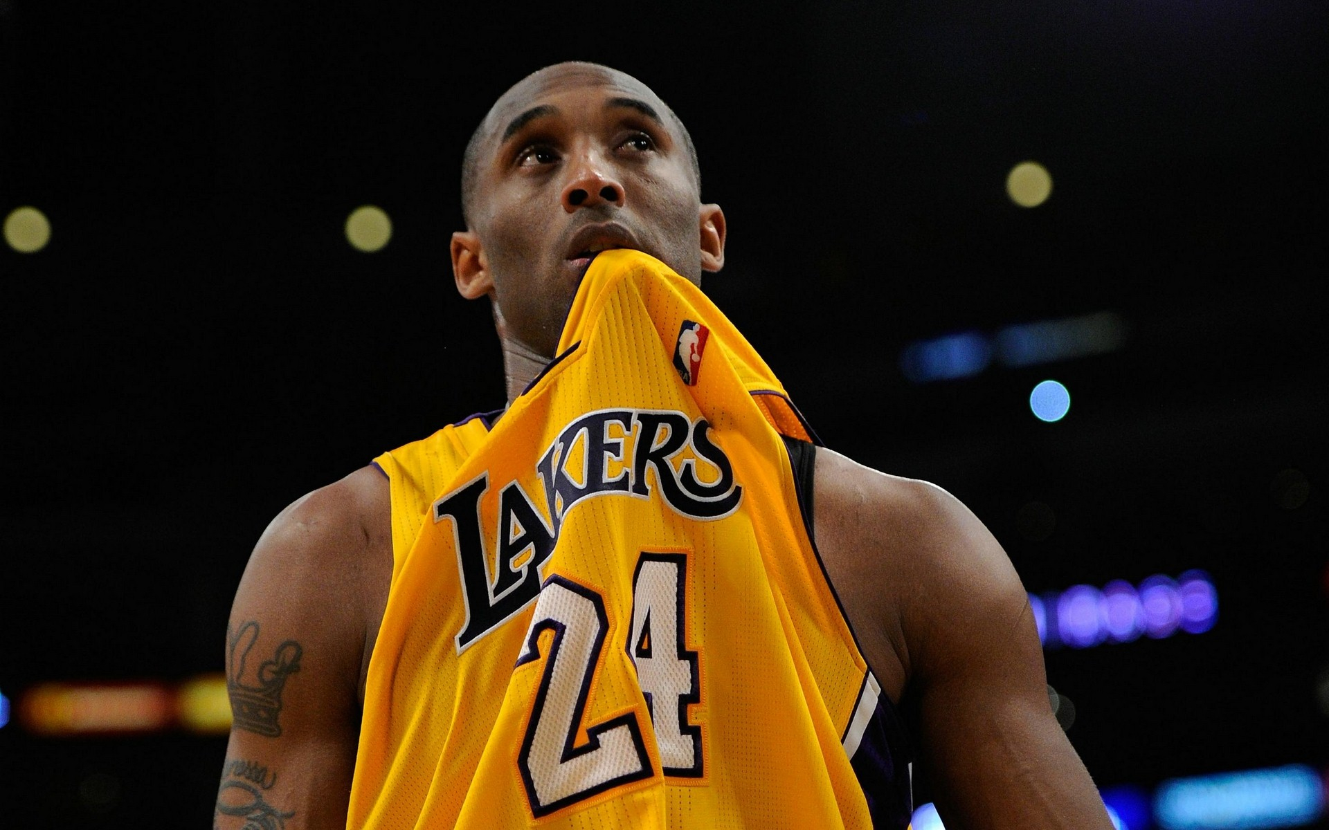 寡头统治 寡头统治